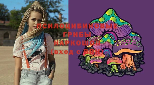 тгк Новозыбков