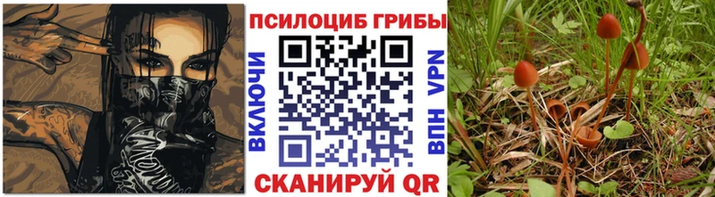 Галлюциногенные грибы Cubensis  Боготол 