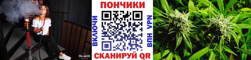 Каннабис сатива  купить   Боготол 